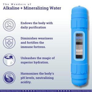 Original Bio Plus Alkaline Filter Cartridge